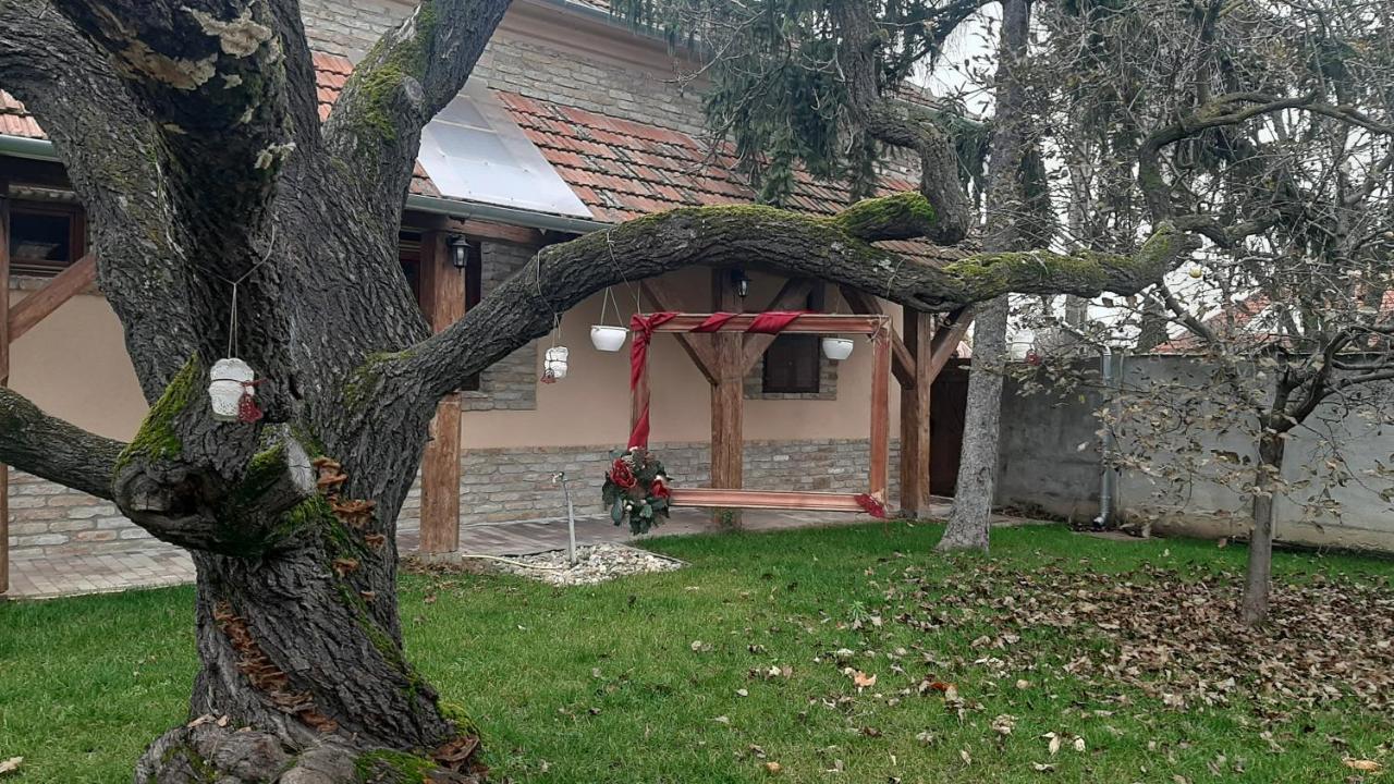 Villa Rusztika Gyula Exterior photo